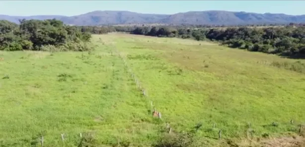 Fazenda/Sítio à venda no , Buritis