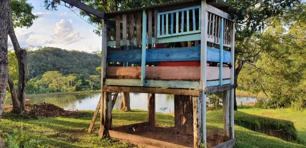Fazenda/Sítio com 3 Quartos à venda, 3024000m² no , Anápolis