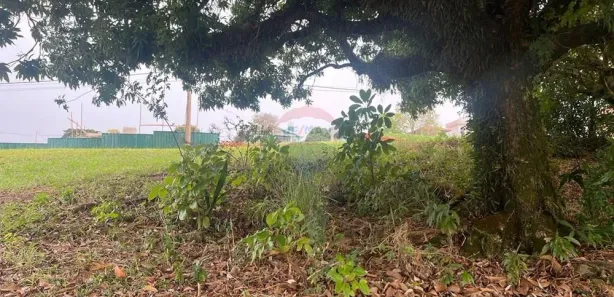 Lote/Terreno à venda, 450m² no , Pardinho