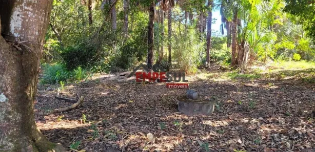 Fazenda/Sítio com 3 Quartos à venda, 200m² no Plano Diretor Sul, Palmas