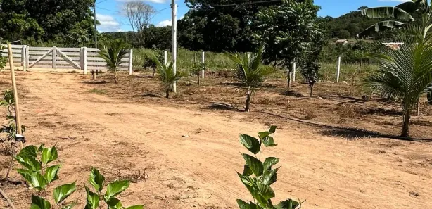 Fazenda/Sítio com 2 Quartos à venda, 4550m² no , Jaraguá