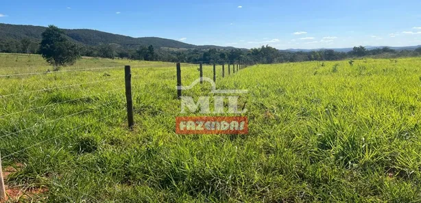 Fazenda/Sítio à venda, 500m² no , Jaraguá