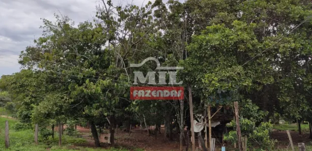 Fazenda/Sítio à venda, 500m² no , Jaraguá