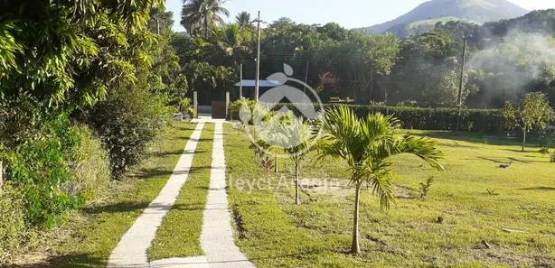 Fazenda/Sítio com 2 Quartos à venda, 5000m² no Sampaio Correia (Sampaio Correia), Saquarema