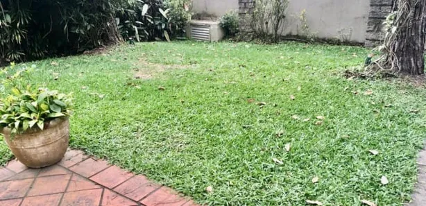 Imóvel Comercial com 1 Quarto para venda ou aluguel, 250m² no Morin, Petrópolis