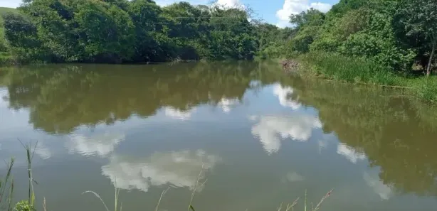Fazenda/Sítio com 2 Quartos à venda, 55000m² no , Nerópolis