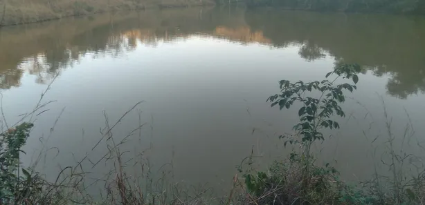 Fazenda/Sítio à venda, 150m² no Centro, Padre Bernardo