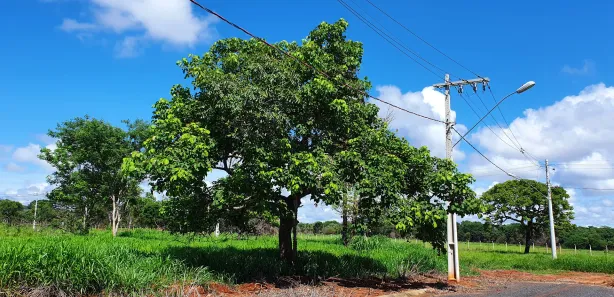 Lote/Terreno à venda, 1000m² no , Caetanópolis