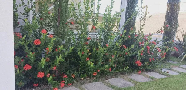 Casa de Condomínio com 5 Quartos à venda, 750m² no Condomínio Terras de Santa Mariana, Caçapava