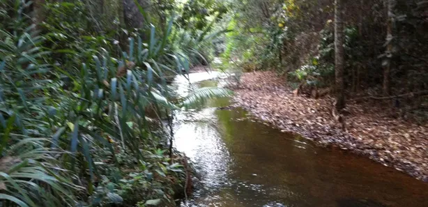 Lote/Terreno à venda, 573m² no Setor Habitacional Jardim Botânico, Brasília