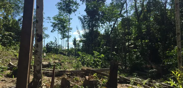 Lote/Terreno à venda, 400m² no Tarumã, Manaus