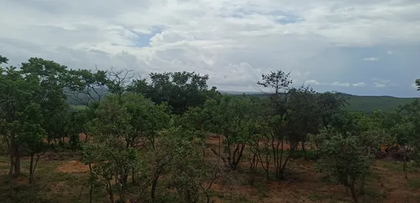 Lote/Terreno à venda, 20000m² no , Cordisburgo