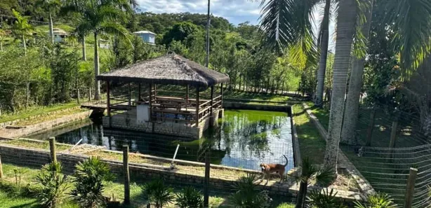 Fazenda/Sítio com 5 Quartos à venda, 500m² no Nova Cidade, Macaé