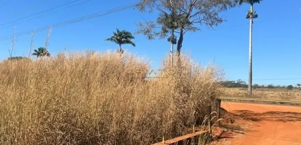 Fazenda/Sítio com 2 Quartos à venda, 100m² no Jardim Eldorado, Anápolis