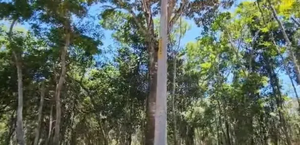 Lote/Terreno à venda, 2000m² no Açu da Torre, Mata de São João