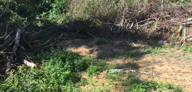 Lote/Terreno à venda, 400m² no Tarumã, Manaus
