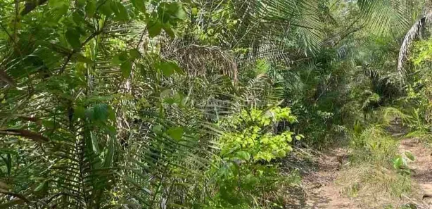 Lote/Terreno à venda, 10m² no , Demerval Lobão