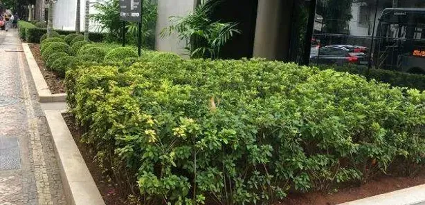 Apartamento com 2 Quartos à venda, 87m² no Savassi, Belo Horizonte