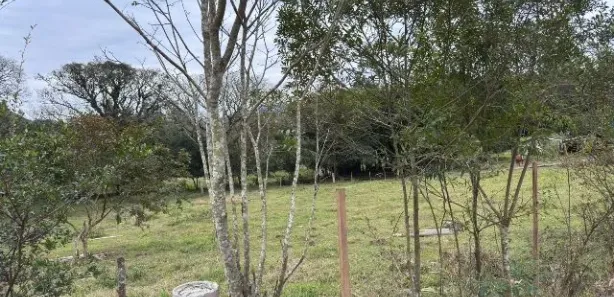 Fazenda/Sítio com 1 Quarto à venda, 5000m² no , Caraá