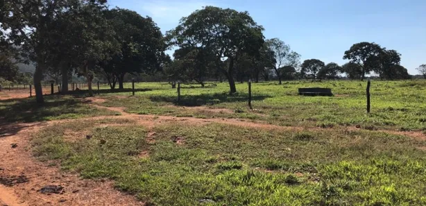 Fazenda/Sítio à venda no , Buritis
