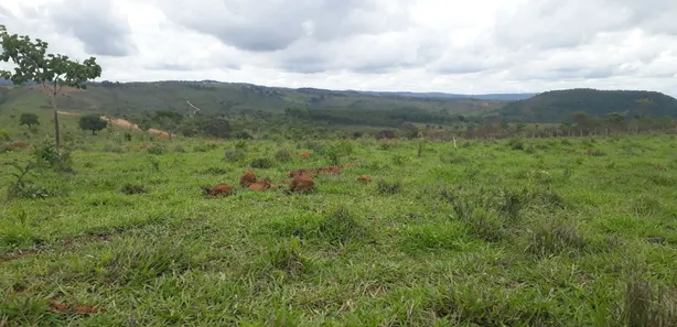 Lote/Terreno à venda, 20000m² no , Cordisburgo