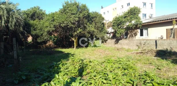 Lote/Terreno à venda, 300m² no Vila Cachoeirinha, Cachoeirinha