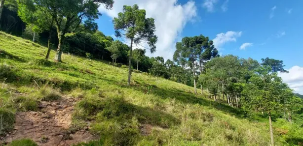 Lote/Terreno à venda, 13m² no Linha Imperial, Nova Petrópolis