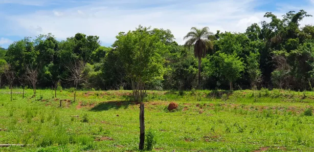 Lote/Terreno à venda, 1000m² no , Caetanópolis