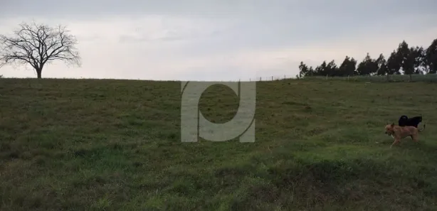 Lote/Terreno à venda, 60000m² no São Jorge, Portão