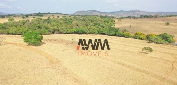 Fazenda/Sítio à venda, 3291200m² no , Jaraguá