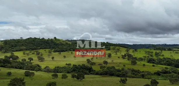 Fazenda/Sítio à venda, 20000m² no Vila Mutirão, Inhumas