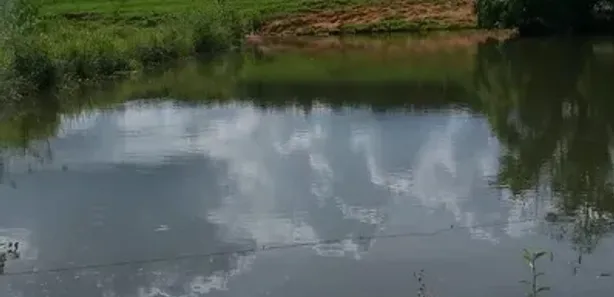 Fazenda/Sítio com 2 Quartos à venda, 55000m² no , Nerópolis