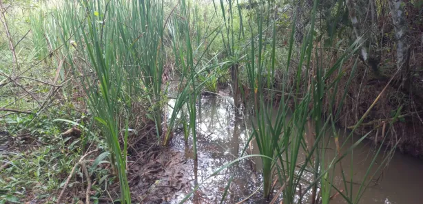Lote/Terreno à venda, 20000m² no Zona Rural, Paraopeba