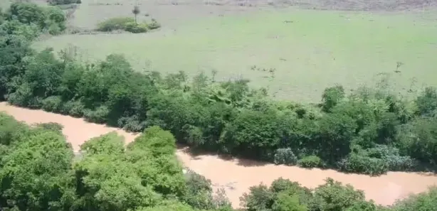 Fazenda/Sítio à venda no , Buritis