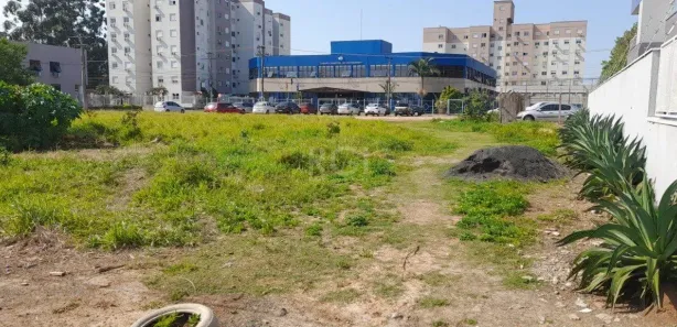 Lote/Terreno à venda, 435m² no Vila Princesa Izabel, Cachoeirinha