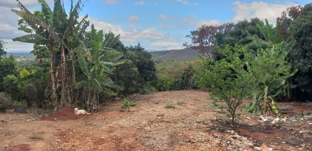 Lote/Terreno à venda, 4681m² no Palmital, Lagoa Santa