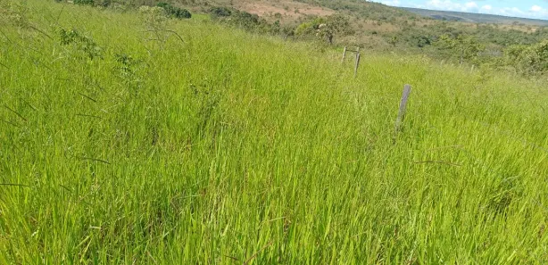 Fazenda/Sítio à venda, 4300000m² no Serra Bonita, Buritis