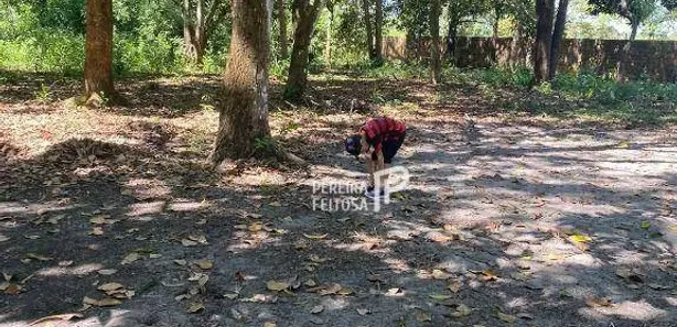 Lote/Terreno à venda, 36967m² no , Itapecuru Mirim