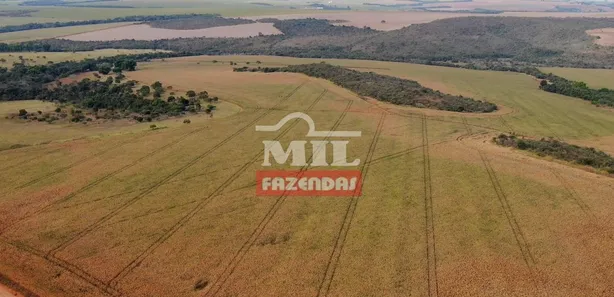 Fazenda/Sítio à venda, 500m² no , Silvânia