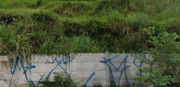 Lote/Terreno à venda, 1200m² no São Lucas, Belo Horizonte