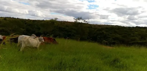 Fazenda/Sítio à venda, 385000m² no Palmital de Minas, Cabeceira Grande