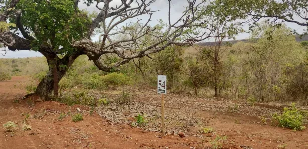 Lote/Terreno à venda, 20000m² no , Paraopeba