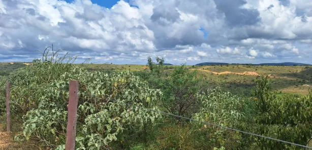 Lote/Terreno à venda, 24000m² no , Cordisburgo