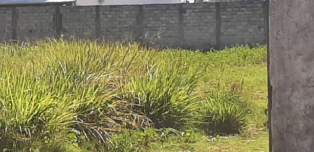 Ponto Comercial para venda ou aluguel, 2700m² no Vila de Abrantes (Abrantes), Camaçari