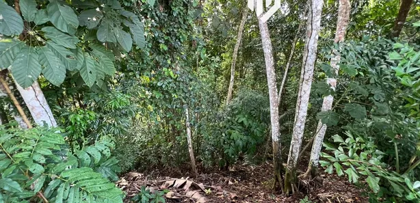 Lote/Terreno à venda, 2160m² no Alphaville I, Salvador