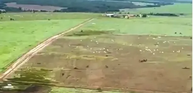 Fazenda/Sítio à venda, 15004000m² no , Niquelândia