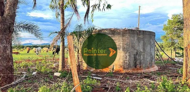 Fazenda/Sítio à venda, 290400m² no , Itaberaí