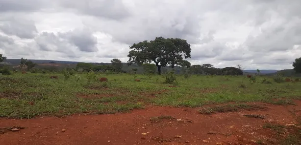 Lote/Terreno à venda, 20000m² no , Cordisburgo