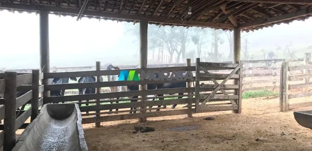 Fazenda/Sítio com 1 Quarto à venda, 48m² no , Brumadinho