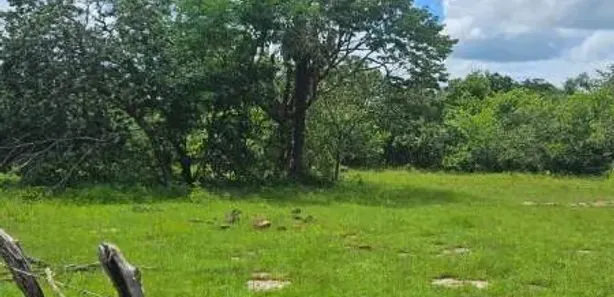 à venda, 726000m² no Paus de chapada, José de Freitas